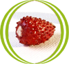 fresa de Aranjuez