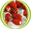 fresas propiedades